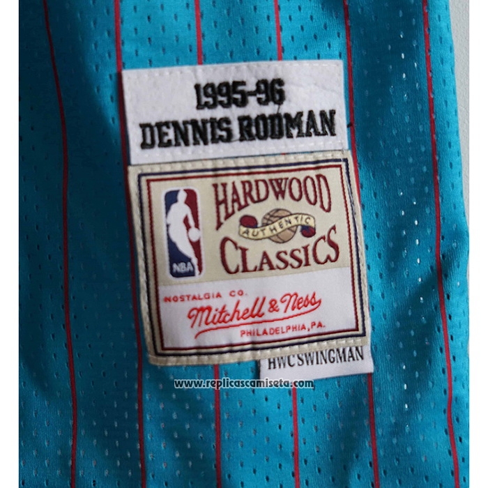 Camiseta Chicago Bulls Dennis Rodman #91 Mitchell & Ness 1995-96 Azul